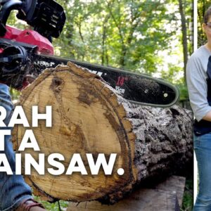 We gave Sarah a new Cordless 14" Chainsaw and Pole Saw, and she's still out there felling trees.