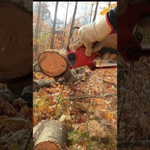Milwaukee M18 FUEL 18 Volt HATCHET 8" Pruning Saw Review #shorts
