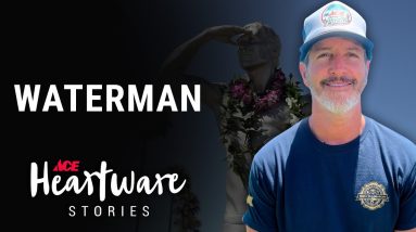Waterman - Ace Heartware Stories