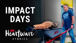 Impact Days - Ace Heartware Stories