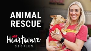 Animal Rescue - Ace Heartware Stories
