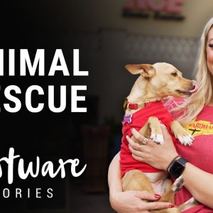 Animal Rescue - Ace Heartware Stories