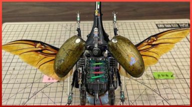 Man Turns DEAD Insects Into Mind Blowing ROBOTS | Cyborg Beetle & Lobster by @YiZhizhu