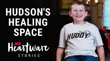 Hudson's Healing Space - Ace Heartware Stories