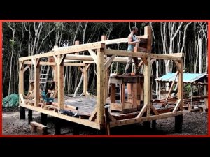 Man Spends 100 DAYS Building Wood CABIN in Volcanic Island | START TO FINISH by @WildGnomos