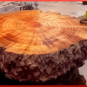 Man Transforms Massive Tree Log into Amazing Table | by @WoodworkingCraftsman