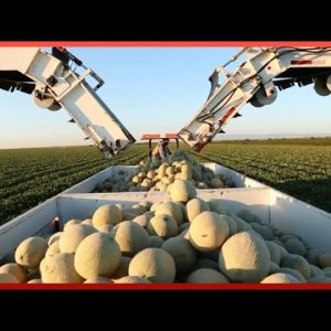 Top 5 Most Viewed Harvesting Process Videos in 2023