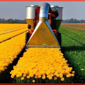 Modern Agriculture Machines That Are At Another Level ▶ 20